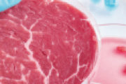 有望な投資先として期待される「培養肉」米国でシンポジウム開催で盛り上がる！