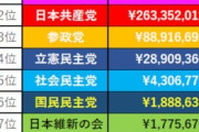 れいわ大石晃子さん絶叫「私のを自民の不記載みたいに言わないで」