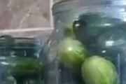 【子ネコ】 瓶を並べてピクルスを作っていた。…えええっ？ → 子猫はこうなった…