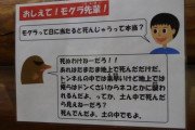 今散歩行ってきたんだけど 途中草むらに勢いよく突進して行ったから「何かな？バッタかな？」って見てたら・・・【再】