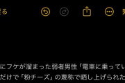 【悲報】肩にフケが溜まった弱者男性、電車に乗っていただけで「粉チーズ」の蔑称を付けられるｗｗｗｗ