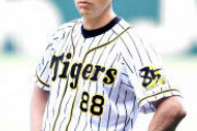 【朗報】阪神タイガースにとんでもない守備の名手が発見されるｗｗｗ