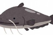 ナマズって食えんの？