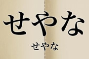 【衝撃悲報】東京人は関西弁の『せやな』の意味を解っていない