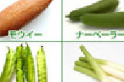 スーパーに売ってるあまり味のしない野菜の名前が知りたい