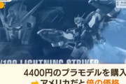 外国人観光客による、日本での爆買い続出！「140万円買い物した」「プラモはアメリカでは倍の値段」「日本での買い物最高」