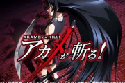 【画像あり】Sアカメが斬る！のキャッチコピー「これがユーザーの求めるすべて！！あらゆるヒット要素を完全集約」←これもう半分大ヒット間違いなしだろ…