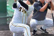 阪神井上コーチ発案「スローボール打ち」で我慢習得