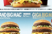 【画像】マクドナルド速報！