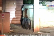 ゴミ箱に閉じ込められた赤ちゃんクマ。ドキドキの救出劇！