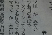 【悲報】最近の幼稚園児、親を蚊だと思っていたｗｗｗｗｗｗｗｗｗｗｗｗｗｗｗ
