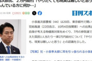 首相になりそうな小泉進次郎氏､2万円の現金給付はやらないっぽいｗｗｗｗｗ
