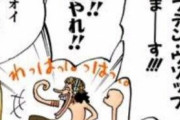 【ワンピース】ゴムゴムの実、既に覚醒していたｗｗｗｗｗｗ