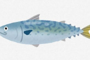 【悲報】釣ったサバを刺し身にして食べた男女２人、嘔吐（おうと）や腹痛などの症状を訴え入院　体内からアニサキス見つかる・・・　
