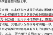 中国の権威ある医療機関「緑茶がコロナウイルスに最も効く」
