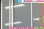 【悲報】兵庫の中学生、大麻0.334グラム所持して逮捕