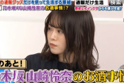 【乃木坂46】山崎怜奈が選抜入ったらどんなリアクションするのか気になるよなｗｗｗｗｗ