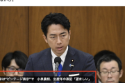 【ビンテージ米】小泉農水相「言ってないし。」毎日新聞の見出し詐欺に一言