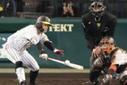 阪神糸原　開幕戦からの連続試合安打11でストップ　４打数無安打