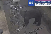 【岩手】正門から堂々と…クマが高校敷地に侵入