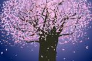 【画像】夜桜に素敵なものが現れてて感動wwww