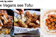 【画像】ヴィーガンと一般人とで「豆腐」の見え方が全然違うと話題に