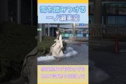 【伝説】雪を踏みつける一ノ瀬美空 #乃木坂46