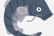 古代人「鯉は皇族にも食されるやんごとない魚だぞ」←いや鯉ってまずいよね