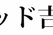レッド吉田がヤフコメに投稿してて草ｗｗｗｗｗｗｗ