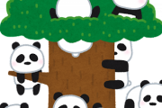 絶対に飼育員の邪魔をするパンダの群れがコチラｗｗｗｗｗ