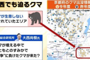 【緊急】クマ、京都襲来