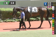 【日曜小倉5R新馬戦】ジンセイ再出発