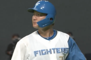 日ハム渡邉諒  空三振　空三振　三ゴロ