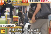 【事件】キセル乗車を注意された男が催涙スプレー噴射、現行犯逮捕…JR錦糸町駅