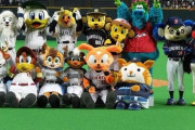 12球団マスコットの強さ格付してみた