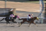 【競馬】今年のジャパンダートダービー勝ち馬を教えてください