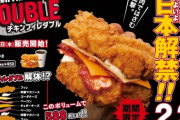 【画像】グルメ漫画好きのワイに手を汚さずにバーガーを食べる方法を教えるなのです！！