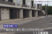 路上でカミソリを振り回し男性を斬りつけた21歳の女を逮捕