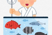 海鮮居酒屋に行くと水槽で魚を泳がせているが、実はあれは魚がストレス感じて不味くなるらしい。