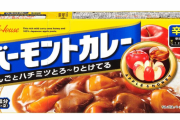 僕「好きなカレールーは？」お前ら「ジャワ」僕「（・・・浅い・・・）」