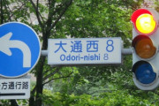 「日本では信号が青ということになってる」世界各国の奇妙なことが話題に