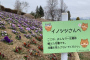 【画像】山梨の公園、イノシシにメッセージ「ここはみんなで一生懸命作った花壇です。荒らさないでください。」