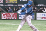 日本ハムファイターズ5本塁打(パ・リーグ1位)