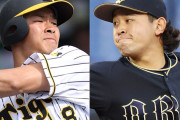 「阪神」と「オリックス」を何かに例えるスレ