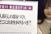 【乃木坂46】おいwww『猫舌SHOWROOM』お題フリップの裏に“とんでもないもの”が描かれていた件wwwwww