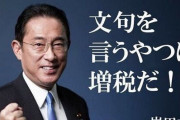 岸田首相「子育て政策の支援金、国民の負担額は“月500円弱”！賃上げで実質的な負担はゼロ！」→国民「？？？？？？？？」