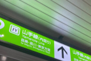 川名ケロンヌ「山手線一周してる途中で姉に会って「いま山手線一周してるんだ」って言ったら「なにそれ罰ゲーム？」って言われました」