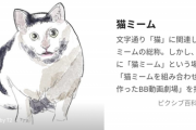【悲報】猫ミーム、終わる