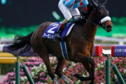 ●【天皇賞・秋】お前らは勝った？負けた？