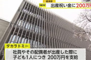 【朗報】タカラトミー、社員に出産祝い金として200万円を支給